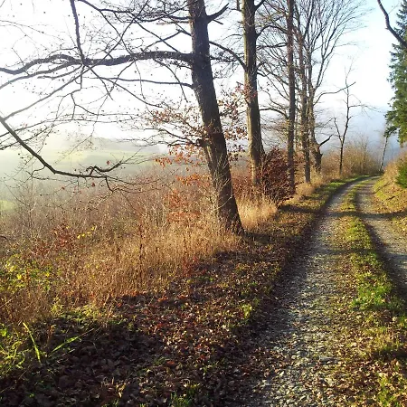 Panorama Ii * Olsberg