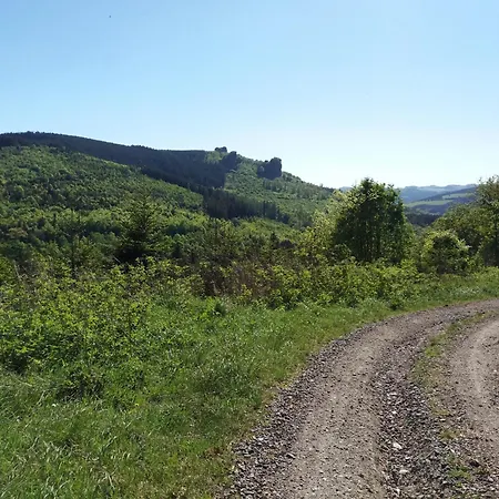 Panorama Ii *